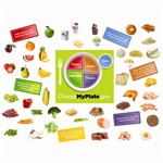 Myplate Builder Bulletin Board Set by Edupress: Science ...