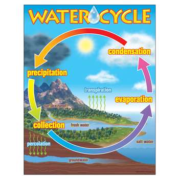 Chart The Water Cycle by Trend Enterprises: Science: K12SchoolSupplies.net